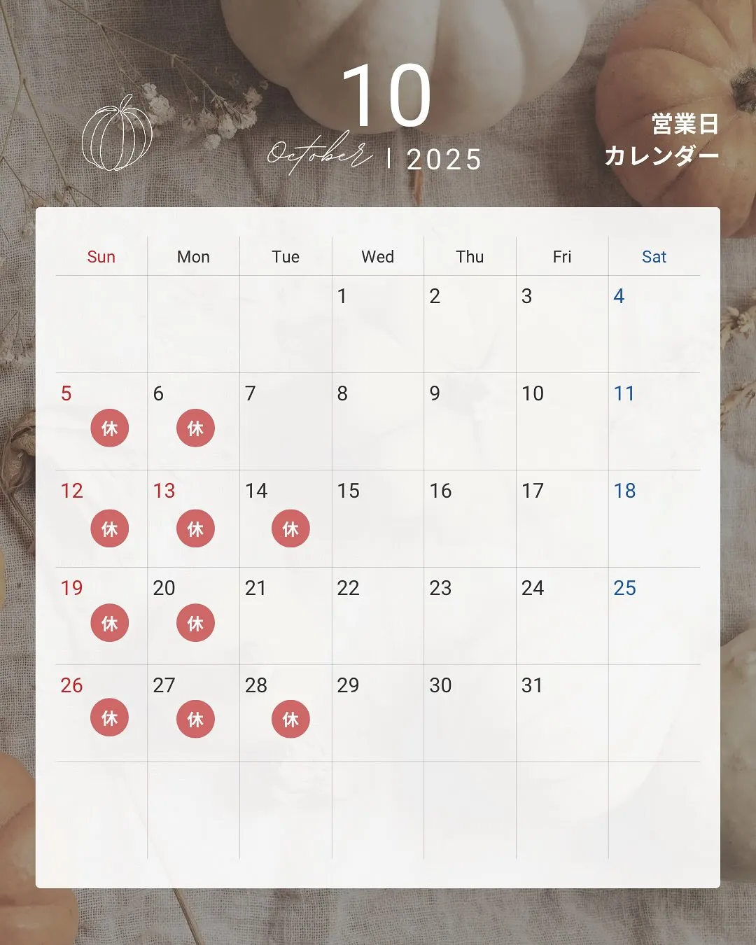 朝夕の空気がぐっと涼しくなり、ようやく秋らしさを感じられるよ...